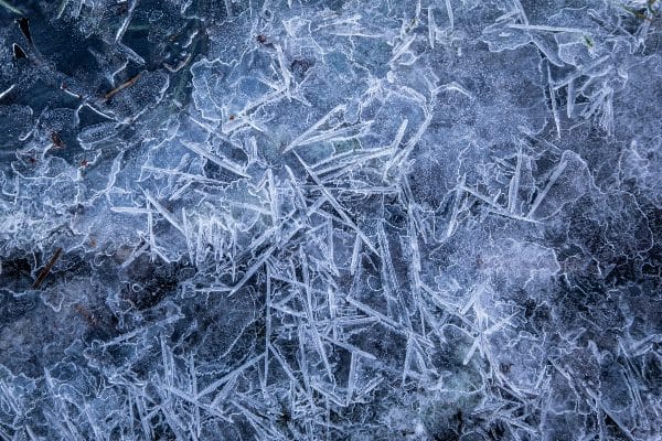 Upala bešike kod mačaka nastaje jer su se stvorili kristali u bešici mačke